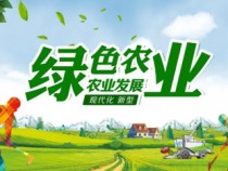 锦州火星电竞黑果科技有限公司