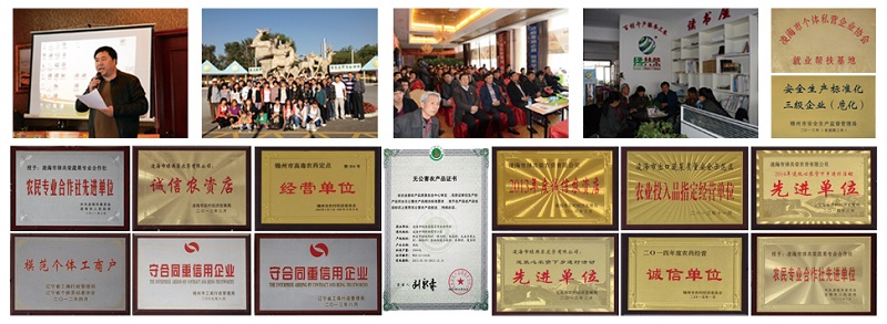 火星电竞·(中国区)有限公司官网
