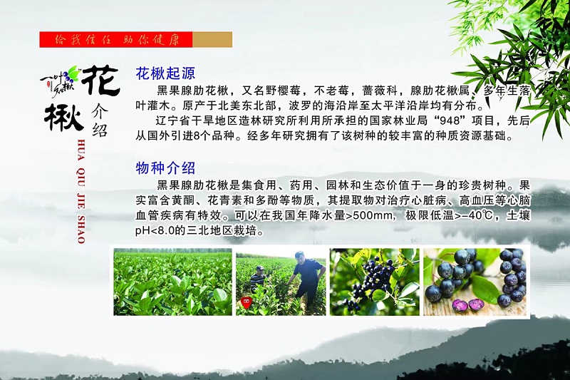 火星电竞·(中国区)有限公司官网