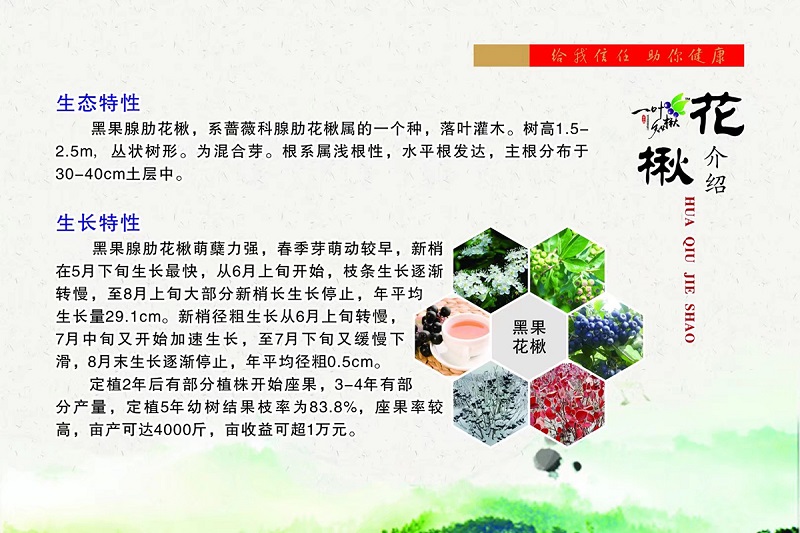 火星电竞·(中国区)有限公司官网