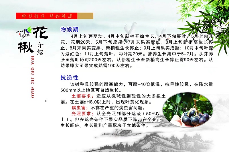火星电竞·(中国区)有限公司官网