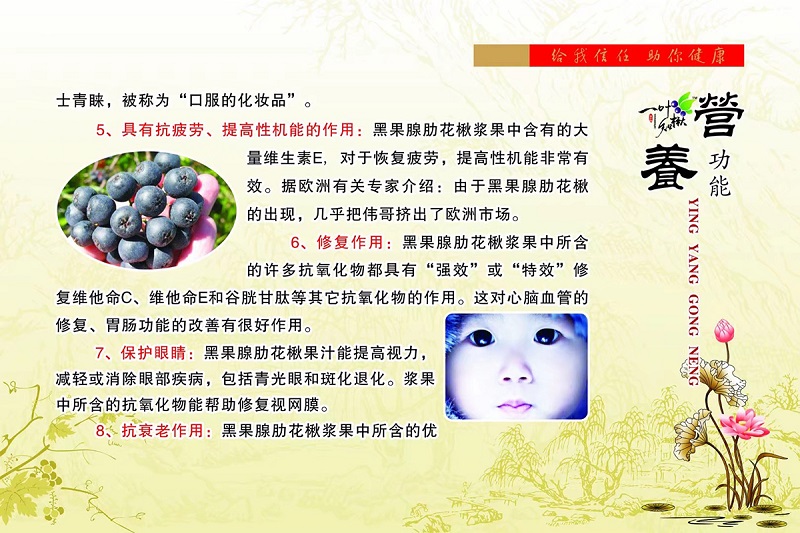 火星电竞·(中国区)有限公司官网