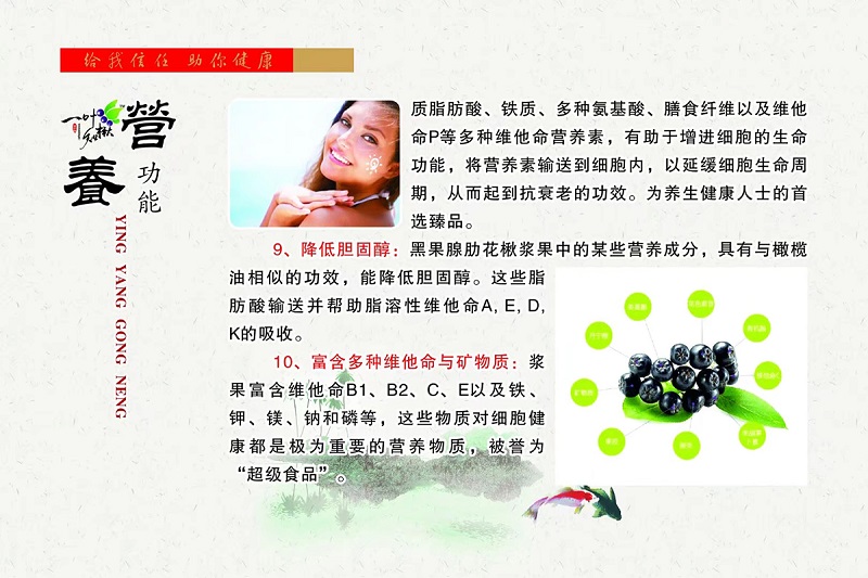 火星电竞·(中国区)有限公司官网