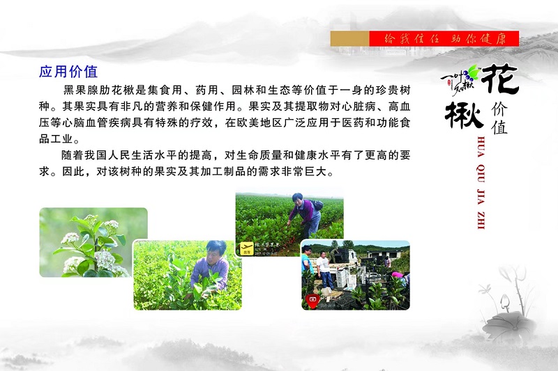 火星电竞·(中国区)有限公司官网
