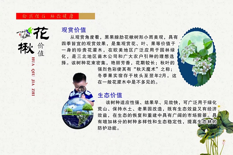 火星电竞·(中国区)有限公司官网