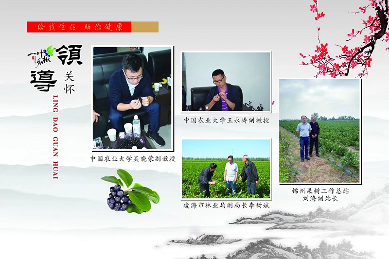 火星电竞·(中国区)有限公司官网