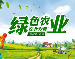 锦州火星电竞黑果科技有限公司