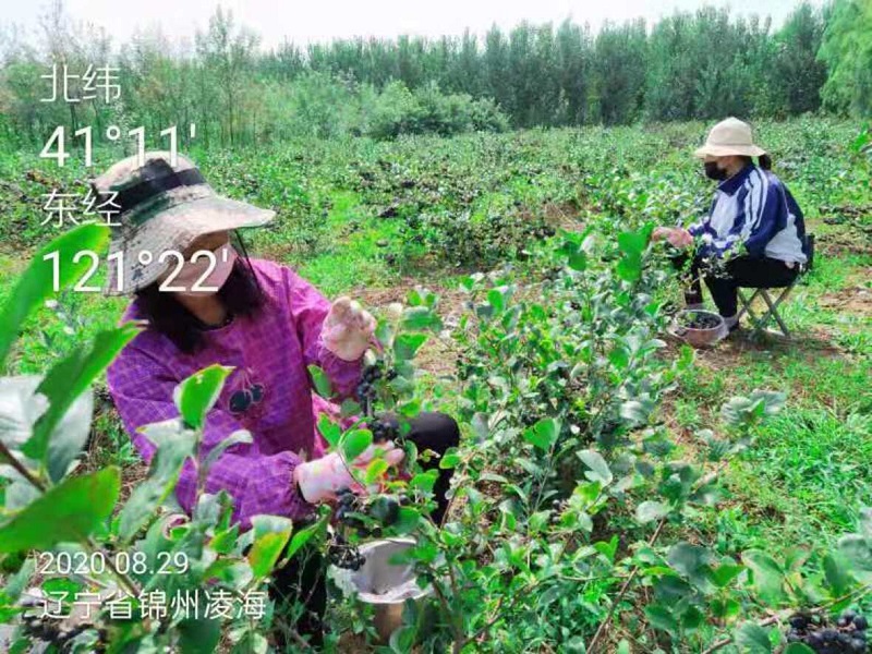 火星电竞·(中国区)有限公司官网