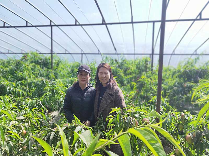 火星电竞·(中国区)有限公司官网